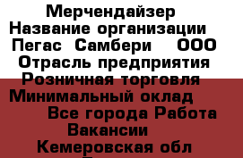 Мерчендайзер › Название организации ­ "Пегас" Самбери-3, ООО › Отрасль предприятия ­ Розничная торговля › Минимальный оклад ­ 23 500 - Все города Работа » Вакансии   . Кемеровская обл.,Топки г.